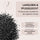 PARSA Beauty PROFESSIONAL Carbon Frisierkamm antistatisch fein & grob
