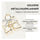 PARSA Beauty SIGNATURE COLLECTION Metallhaarklammer – goldener Schmetterling