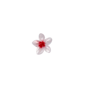 PARSA Beauty Limited Haarklammer Bali-Blume, Tropisches Design in Zartrosa